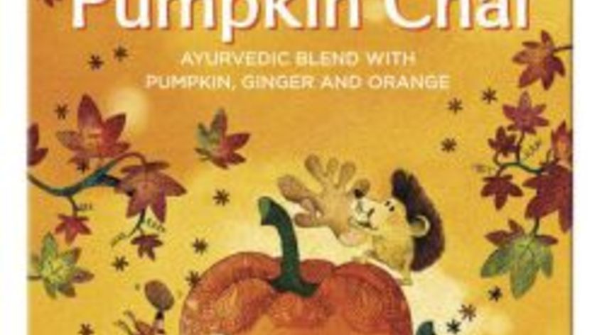 Yogi Tea Pumpkin Chai