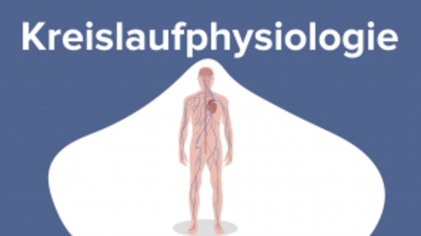 Kreislaufphysiologie