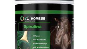 Spirulina Pulver für Pferde 750g