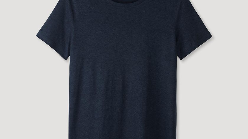 hessnatur Herren Shirt aus Leinen - blau - Größe 48