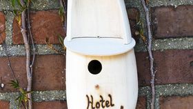 Holzschuh als Nistkasten Hotel zur Meise