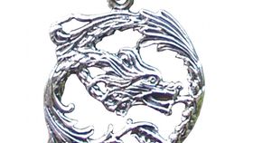 Anhänger "Drache kreisförmig" 2,5cm Silber 925 6,3g