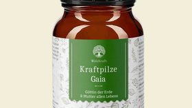 Bio Kraftpilze Gaia - Vitalpilz Synergetikum - 100g