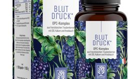 OPC-Komplex mit Q10, Kalium und Knoblauch - Blutdruck - 1 Dose Blutdruck (die meisten Kunden kaufen 2 Dosen)