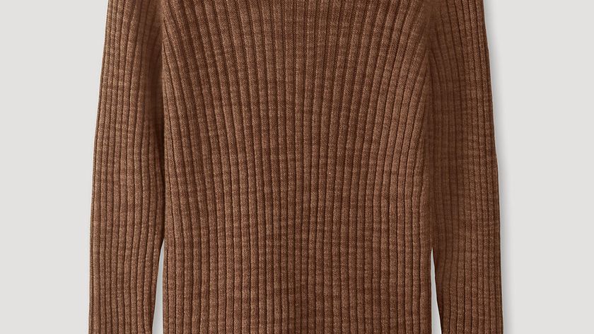 hessnatur Damen Ripp-Pullover aus Leinen mit Bio-Baumwolle - braun - Größe 44