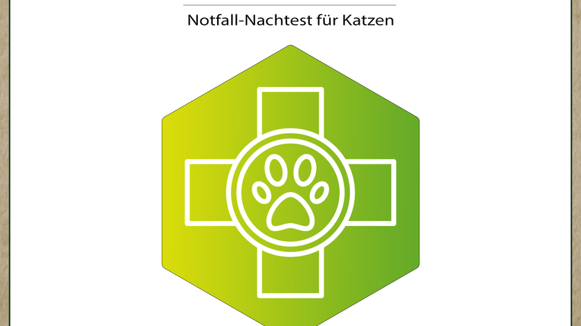 Bioresonanz-Analyse Katze Notfall-Nachtest