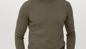 hessnatur Herren Pullover aus Bio-Baumwolle - grün - Größe 48