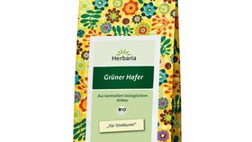 Grüner Hafertee Bio für entschlackende Teekur kaufen