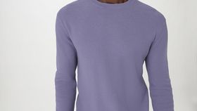 hessnatur Herren Pullover Regular aus Bio-Baumwolle - lila - Größe 50