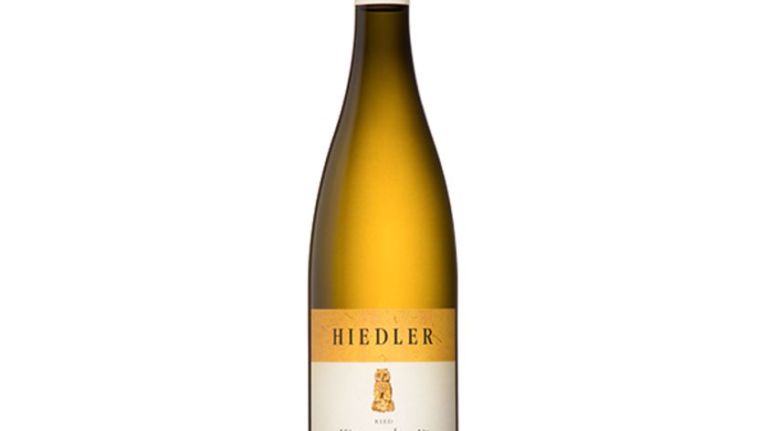 Hiedler - Grüner Veltliner - Kittmannsberg