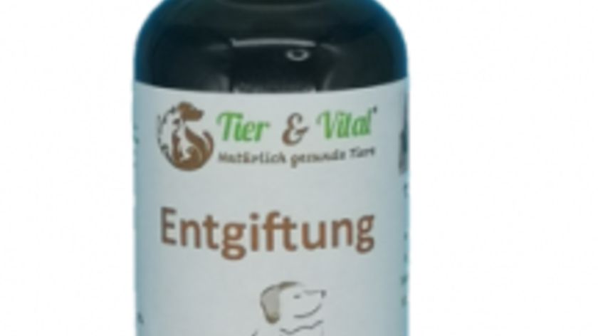 Entgiftung 50ml