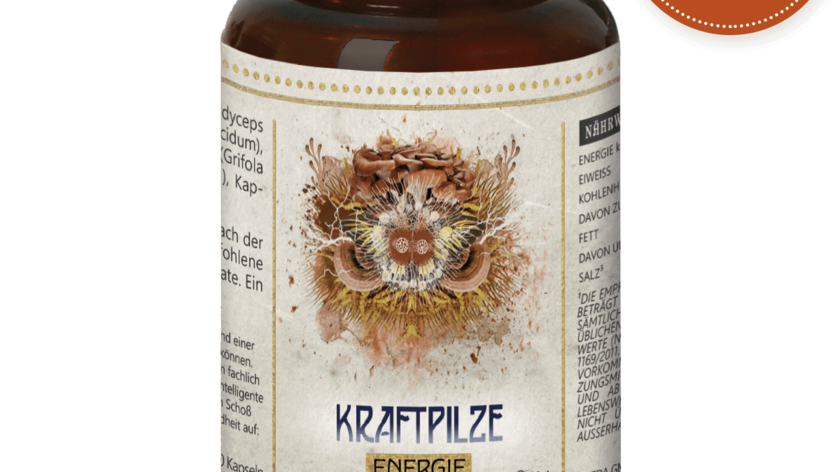 Kraftpilze Flora – Vitalpilz Synergetikum – 120 Kapseln