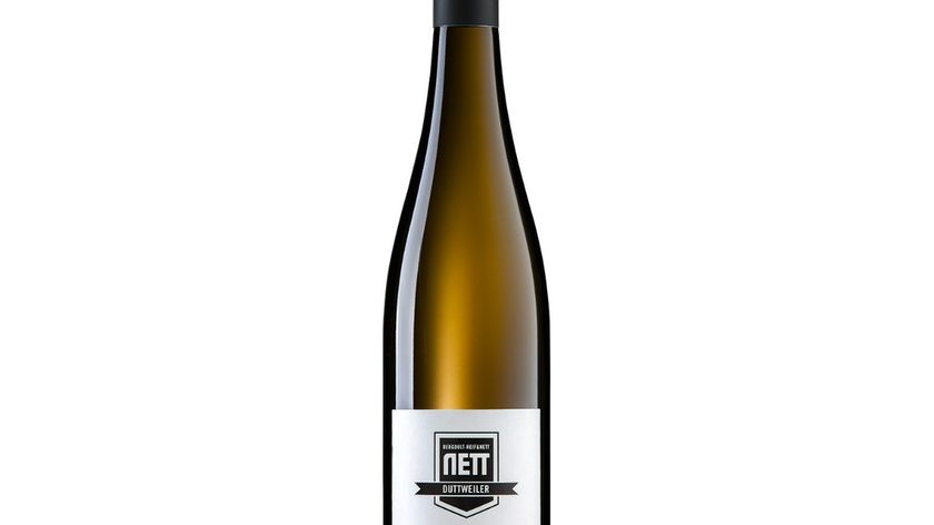 Bergdolt-Reif & Nett - Riesling entalkoholisiert