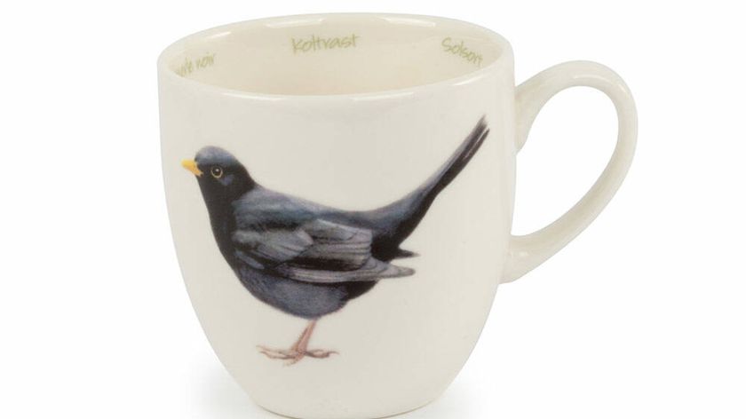 Tasse Amsel