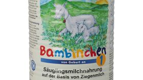 Bambinchen 1 Säuglingsmilchnahrung auf Ziegenmilchbasis, 400g