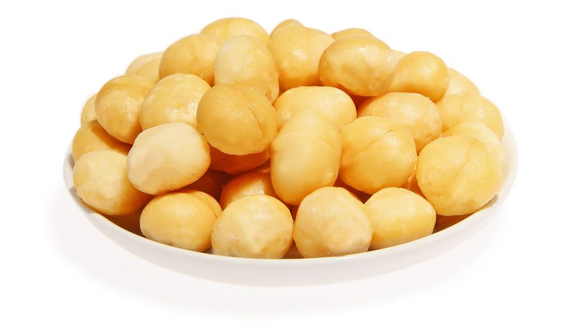 Macadamia geröstet