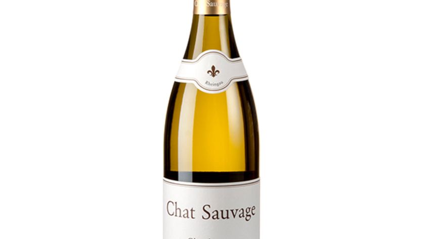 Chat Sauvage - Clos de Schulz - Chardonnay