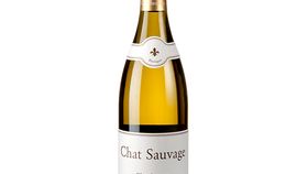 Chat Sauvage - Clos de Schulz - Chardonnay