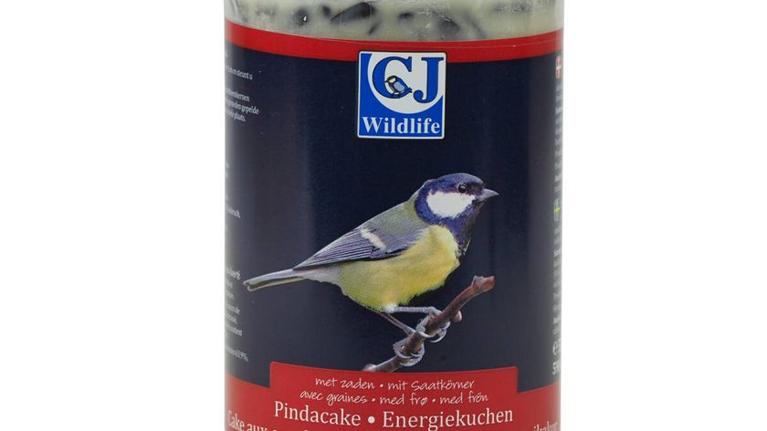 Energiekuchen mit Samen 500 g