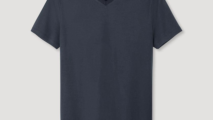 hessnatur Herren V-Shirt aus Bio-Baumwolle - blau - Größe 46