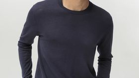 hessnatur Herren Pullover aus Bio-Merinowolle - blau - Größe 48