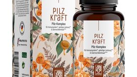 Pilz-Komplex für Immunsystem*, geistige Leistung** & Darmschleimhaut*** - Pilzkraft - 5 Dosen Pilzkraft