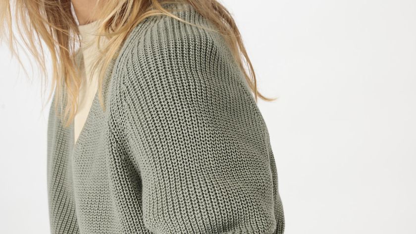 hessnatur Damen Pullover Regular aus Bio-Baumwolle - grün - Größe 46