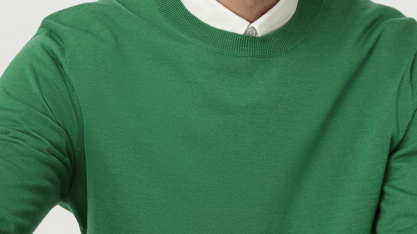 hessnatur Herren Feiner Pullover Regular aus Bio-Merinowolle - grün - Größe 48