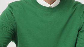 hessnatur Herren Feiner Pullover Regular aus Bio-Merinowolle - grün - Größe 48