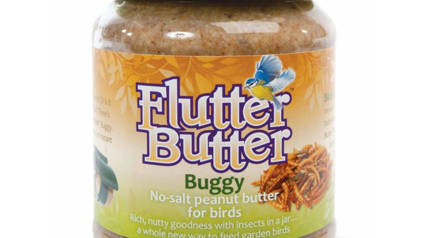 Flutter-Butter "Buggy" - Erdnussbutter für Vögel