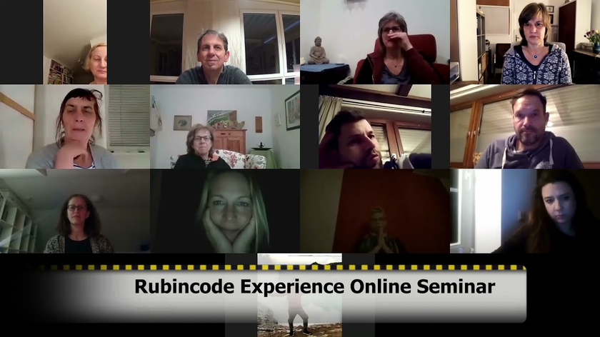 Feedback zum Seminar Rubincode Experience Online