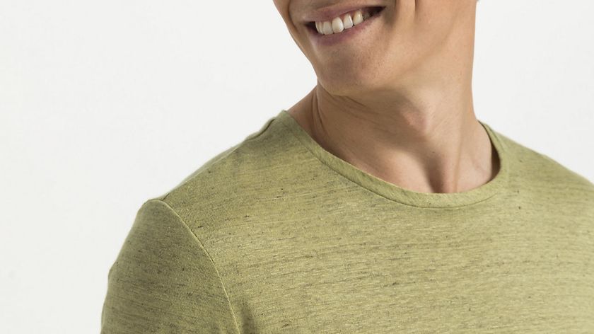 hessnatur Herren Shirt aus Leinen - grün - Größe 50