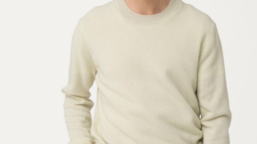 hessnatur Herren Pullover aus Bio-Lambswool - natur - Größe 52