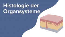 Histologie der Organsysteme