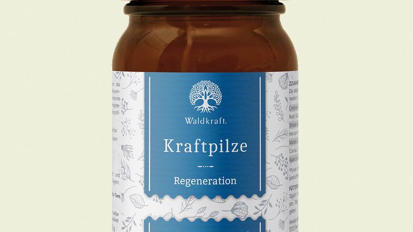 Kraftpilze Regeneration AKTION 2 für 1 – Vitalpilz Synergetikum - 2x100g