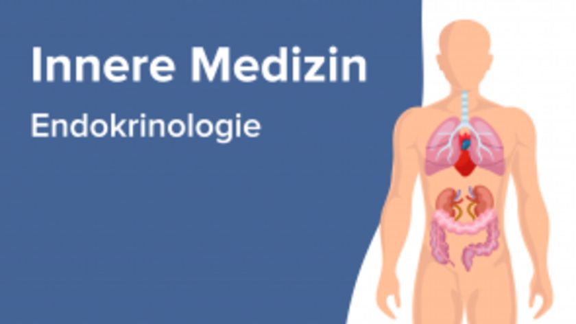 Endokrinologie