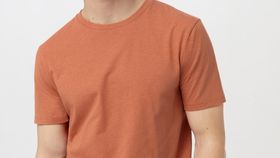 hessnatur Herren T-Shirt aus Bio-Baumwolle mit Hanf - braun - Größe 56