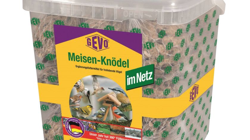 Meisenknödel 30 Stück im Netz à 90 g mit Eimer