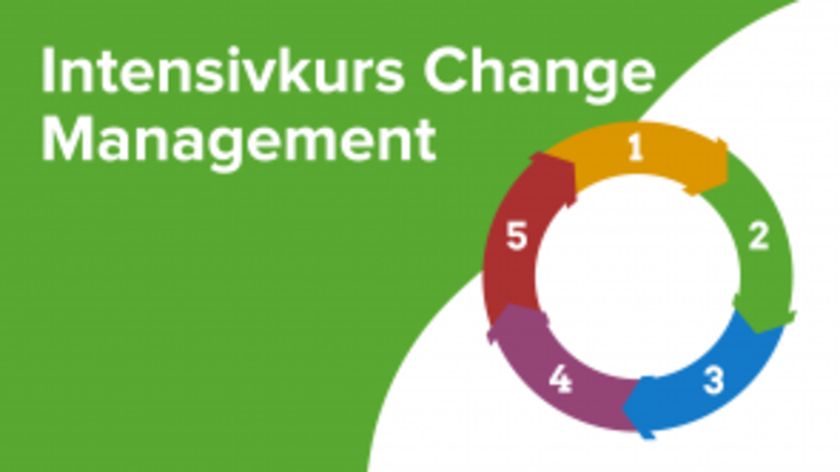 Intensivkurs Change Management