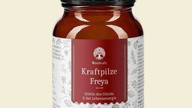 Bio Kraftpilze Freya – Vitalpilz Synergetikum - 100g