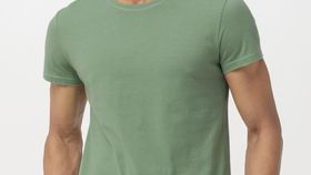 hessnatur Herren T-Shirt Zwirnjersey aus Bio-Baumwolle - grün - Größe 52