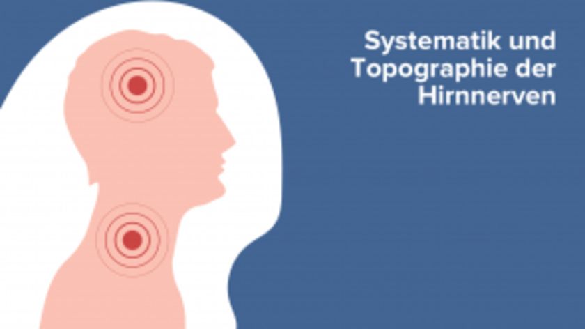 Systematik und Topographie der Hirnnerven