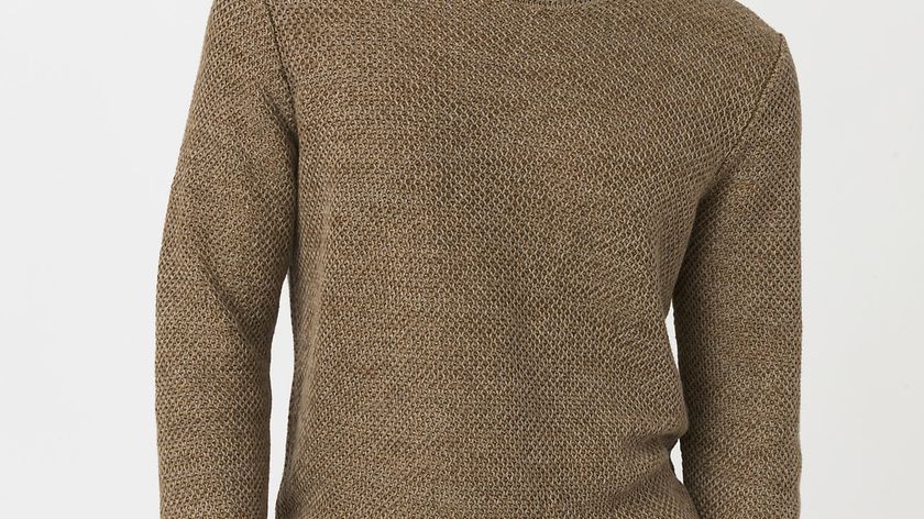 hessnatur Herren Pullover aus Bio-Leinen - braun - Größe 48