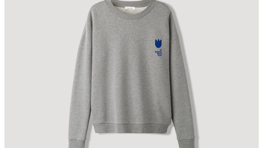 hessnatur Damen Sweatshirt Peace Friedi aus Bio-Baumwolle - grau - Größe 38