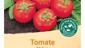 Bingenheimer Saatgut Tomate Matina