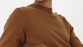 hessnatur Herren Pullover aus Bio-Lambswool - braun - Größe 54