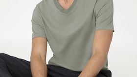 hessnatur Herren V-Shirt Regular aus Bio-Baumwolle - grün - Größe 46