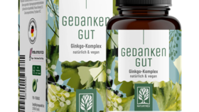 Ginkgo-Komplex mit Ginseng & Bacopa - Gedankengut - 2 Dosen Gedankengut (beliebteste Option)