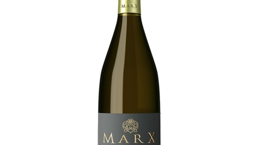 Weingut Marx - Grauburgunder -R-