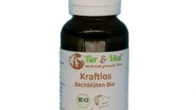 Bachblüten Bio - Kraftlos 20ml